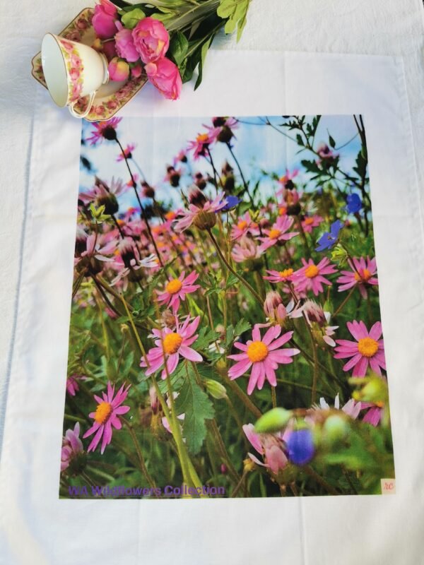 Long Stem Pink Daisy TW-014