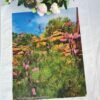 Pink Poker Grevillea Shrub TW-017