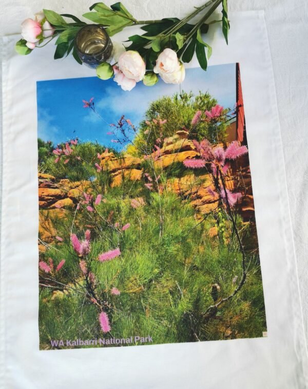 qrf Pink Poker Grevillea Shrub TW-017