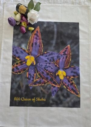 TW-QS02a Blue Pokey Queen of Sheba TW-QS02