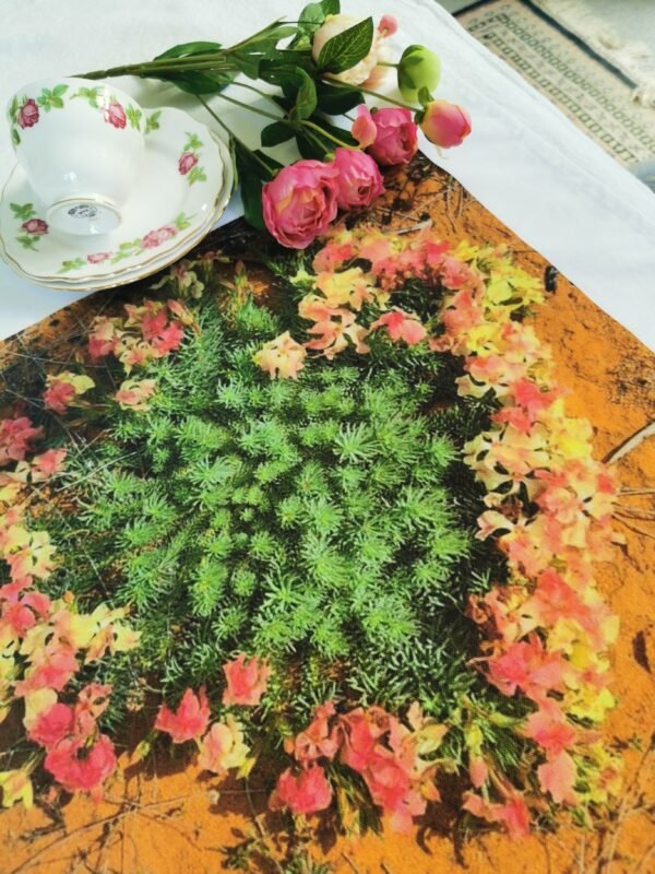 TW-008 Wreath Wildflower Heart TW-008