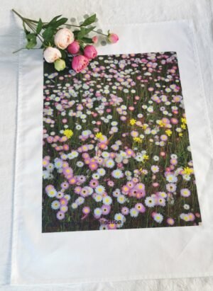qrf Field White, Pink Yellow TW-011