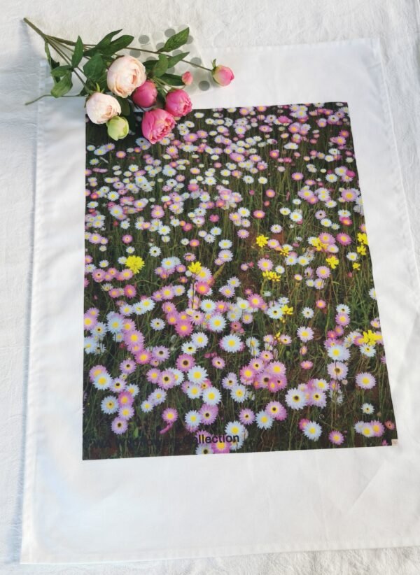 qrf Field White, Pink Yellow TW-011