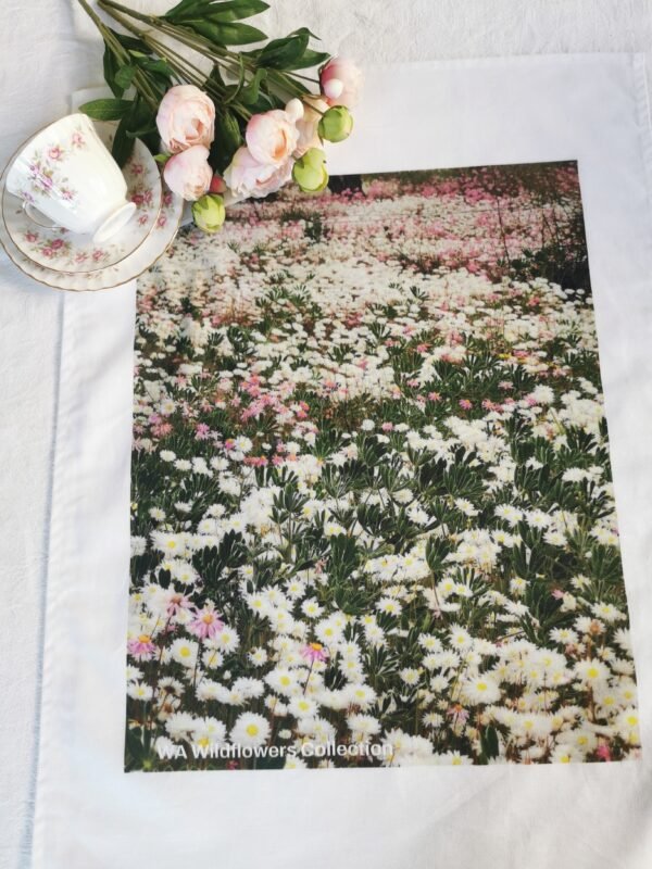 TW-012 Field White Wildflowers TW-012