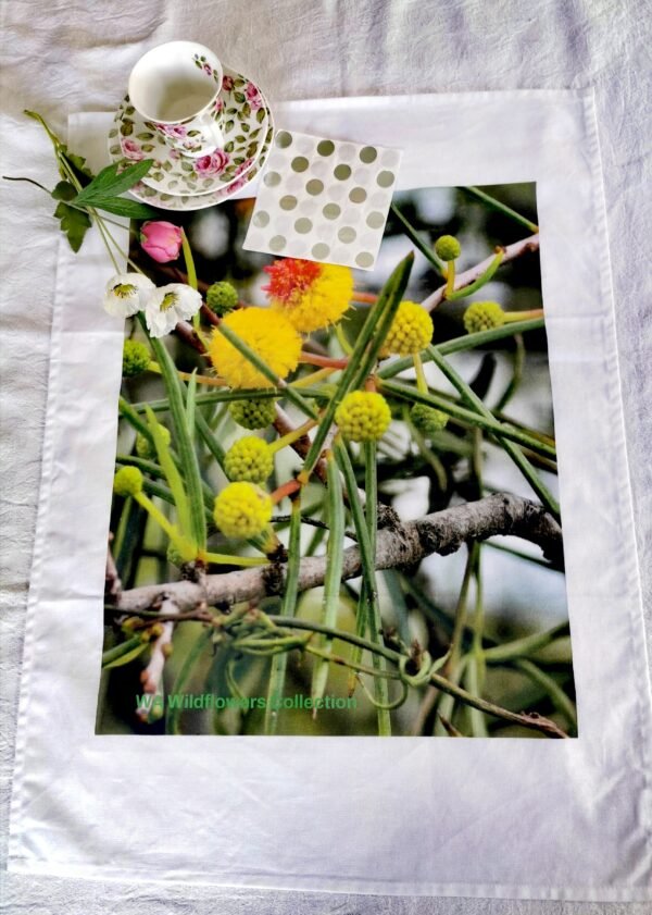 qrf Wattle Yellow Wildflower TW-022