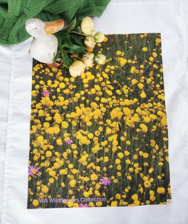 qrf Field Yellow Pompom TW-028