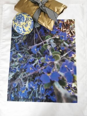 TW-030 Dampiera Wildflowers TW-030
