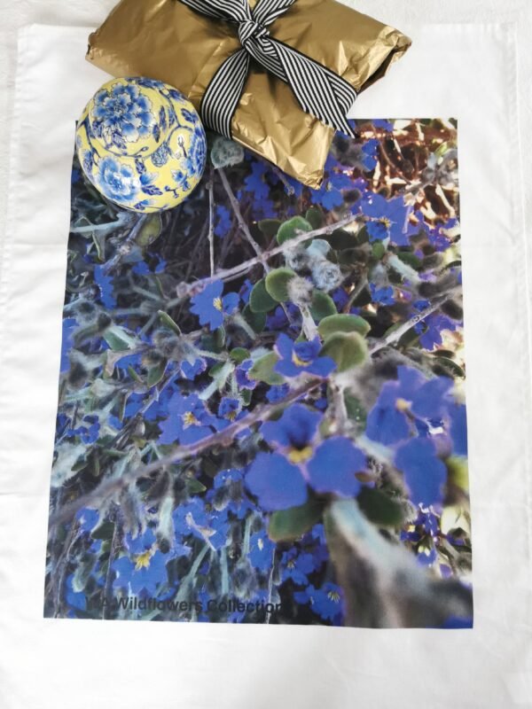 Dampiera Wildflowers TW-030