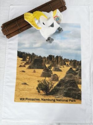 nor Pinnacles at Nambung TW-032