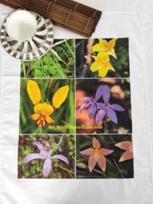 Orchids Wildflowers TW-033