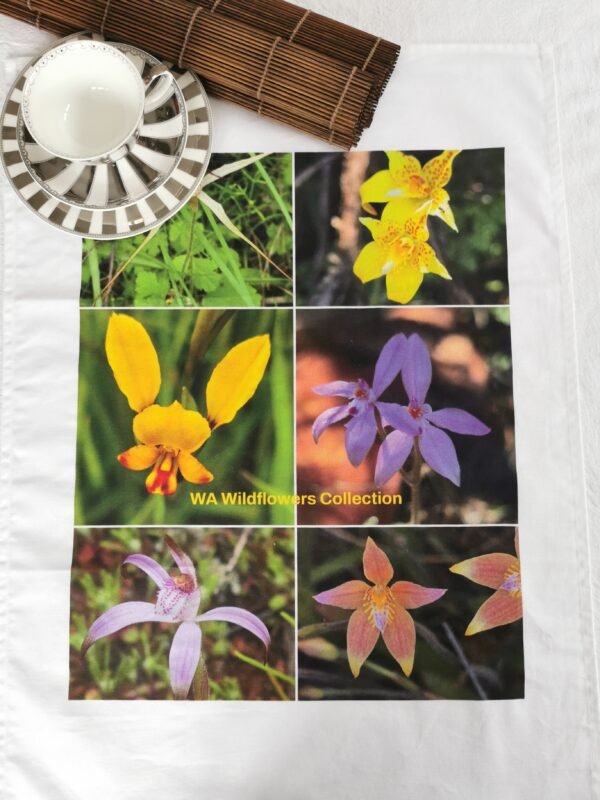 Orchids Wildflowers TW-033