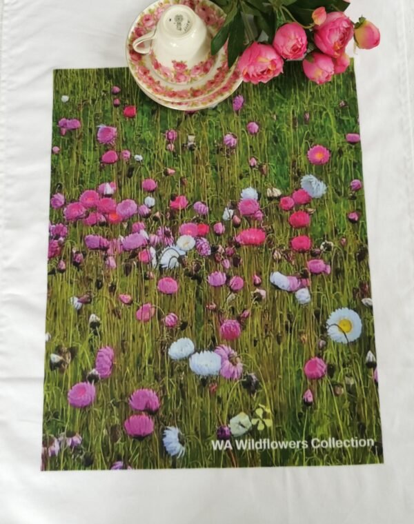 nor Pink & White Everlasting TW-041