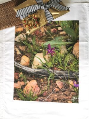 nor Purple Flower Wurmbea TW-052