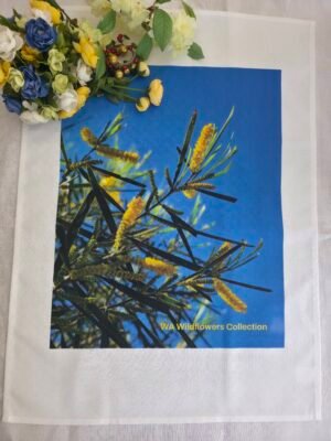 Yellow Acacia TW-070