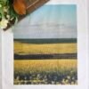 Golden Canola Fields TW-071
