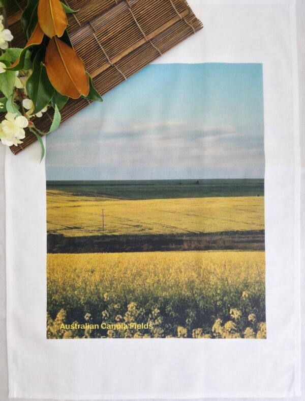 Golden Canola Fields TW-071