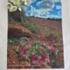 Outback Wreath Wildflowers TW-072