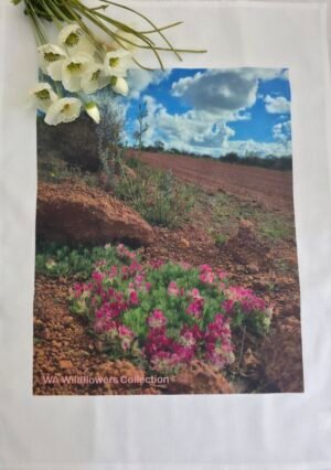 Outback Wreath Wildflowers TW-072